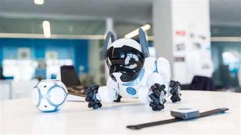 Meet CHiP: The World's First Lovable Robot Dog .